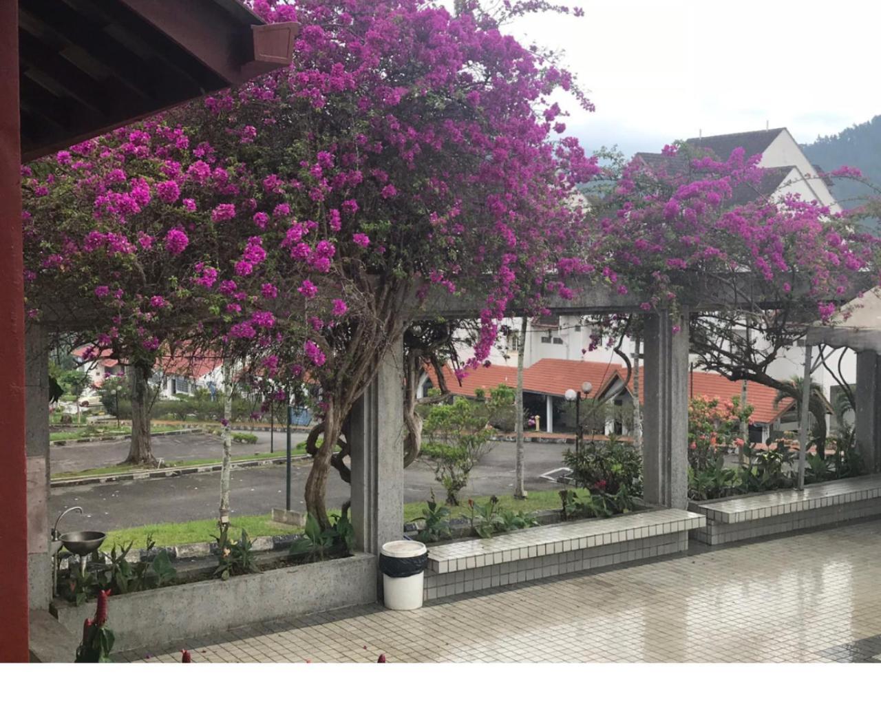 ThatNicePlace at Selesa Hillhomes, Bukit Tinggi, Genting Bentong Luaran gambar